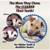 Собака щітка для чистки зубів, кісточка для собак, Chewbrush Собака щітка для чистки зубів, кісточка для собак, Chewbrush