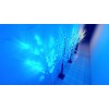 Гірлянда новорічне дерево біле White 1,5 100 LED (синій) TREE-1-5-B