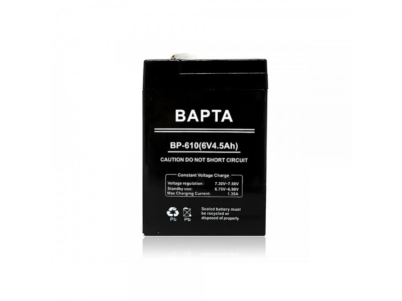 Акумуляторна батарея маленька 6В 5,5Ач BAPTA BP-610